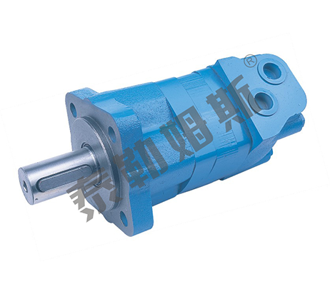 W orbit hydraulic motor